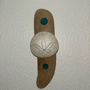 Wall decor with genuine sand dollar